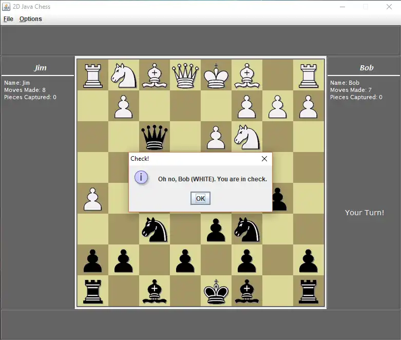 Download web tool or web app 2D Java Chess