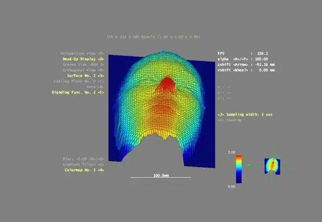 Download web tool or web app 3DBrainExplorer to run in Windows online over Linux online