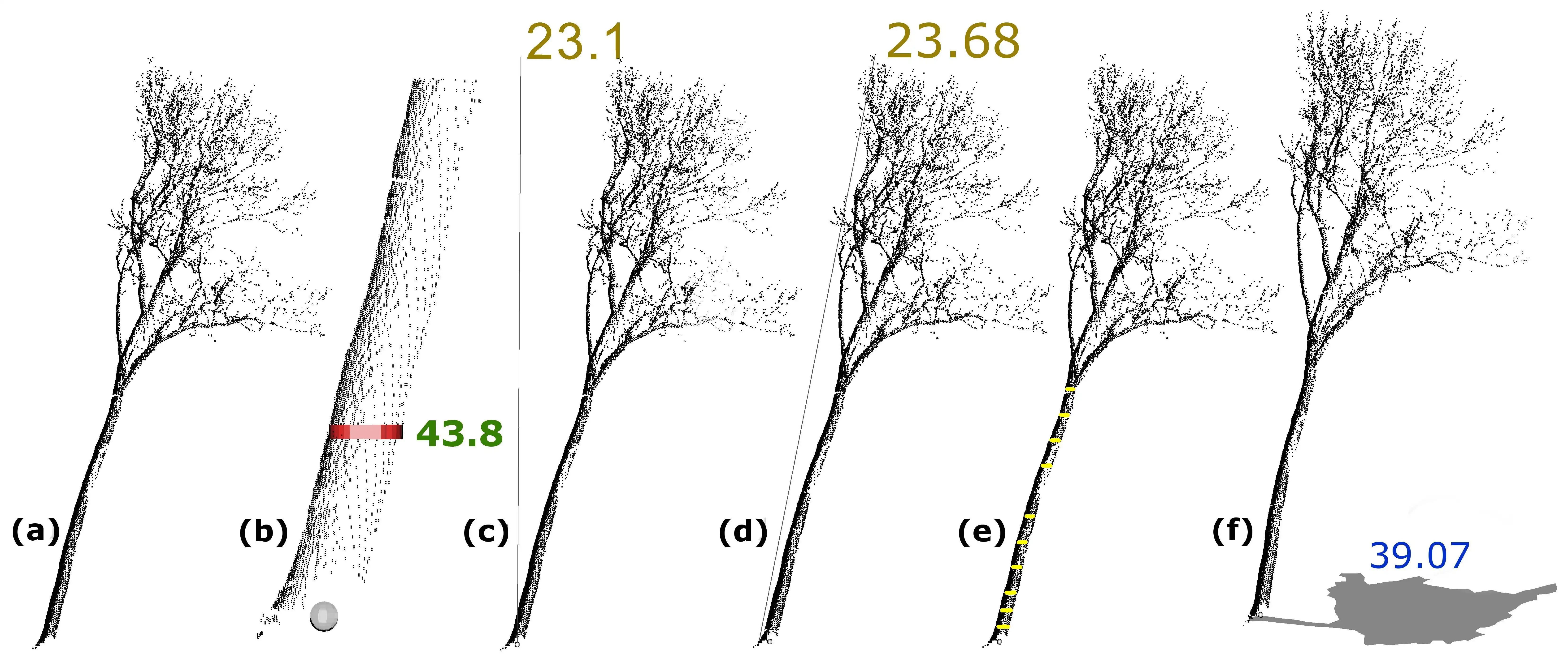 Download web tool or web app 3DFOREST