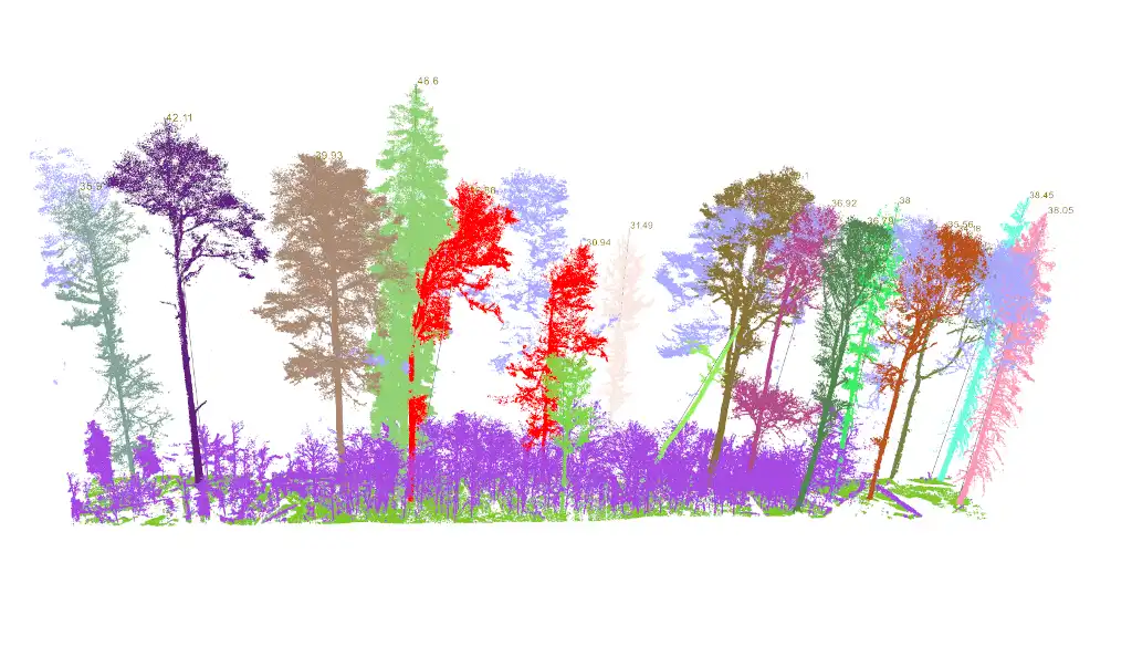 Download web tool or web app 3DFOREST