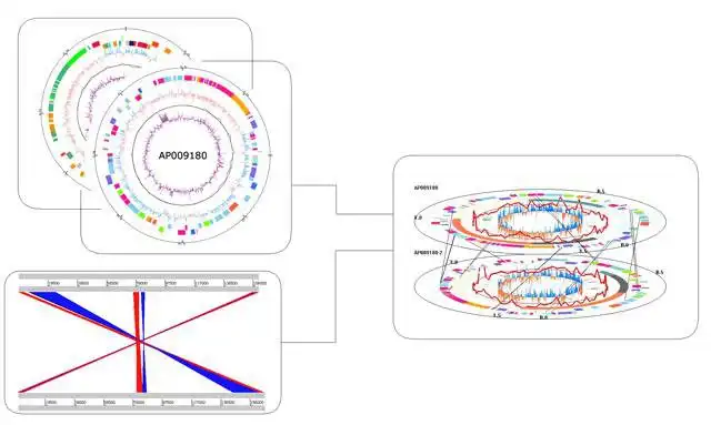 Download web tool or web app 3D Genome Tuner to run in Linux online