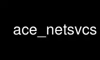 Run ace_netsvcs in OnWorks free hosting provider over Ubuntu Online, Fedora Online, Windows online emulator or MAC OS online emulator