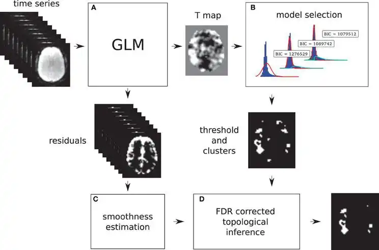 Download web tool or web app Adaptative thresholding for fMRI to run in Windows online over Linux online