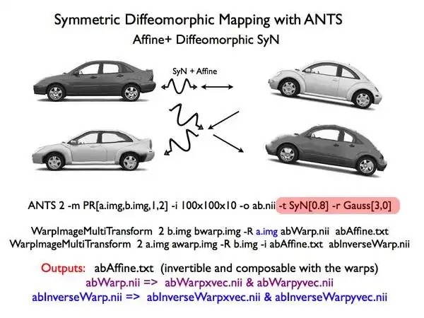 Download web tool or web app Advanced Normalization Tools ( ANTs )