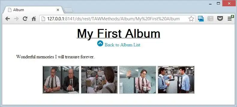 Download web tool or web app AlbumWebsite