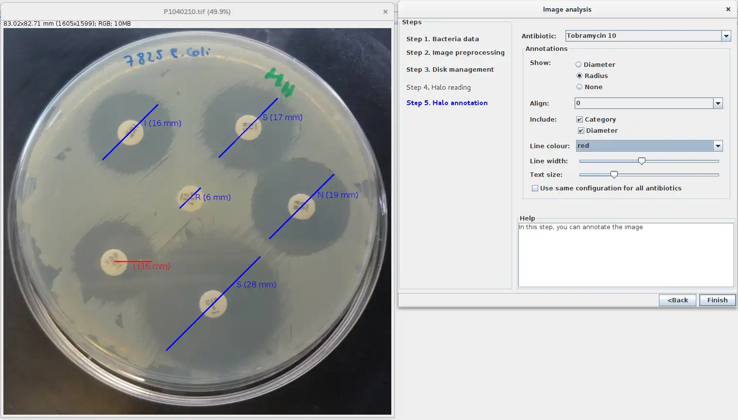 Download web tool or web app AntibiogramJ to run in Windows online over Linux online