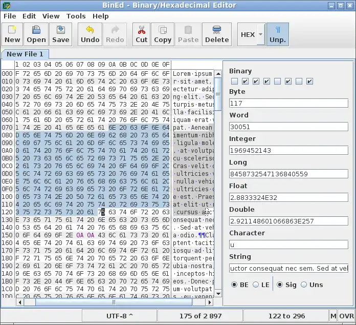 Download web tool or web app BinEd Editor for Binary Data