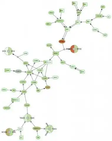 Download web tool or web app Biological Network Analyzer