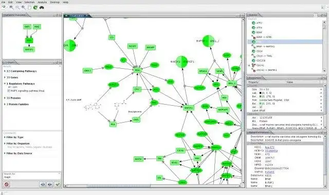 Download web tool or web app Biological Network Analyzer