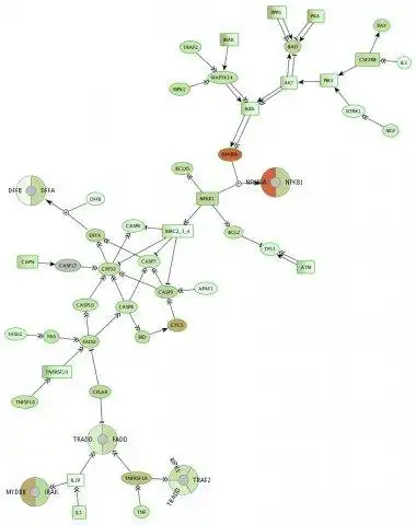 Download web tool or web app Biological Network Analyzer to run in Windows online over Linux online