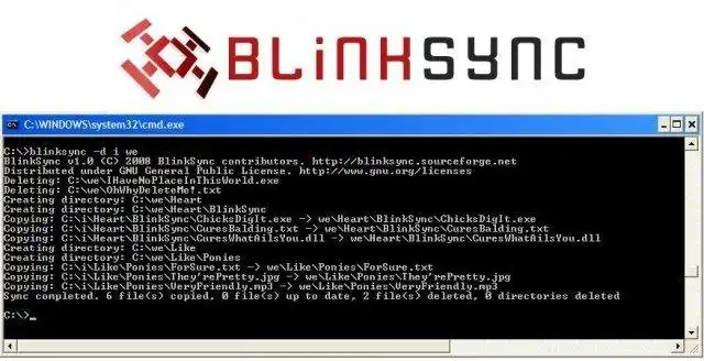 Download web tool or web app BlinkSync