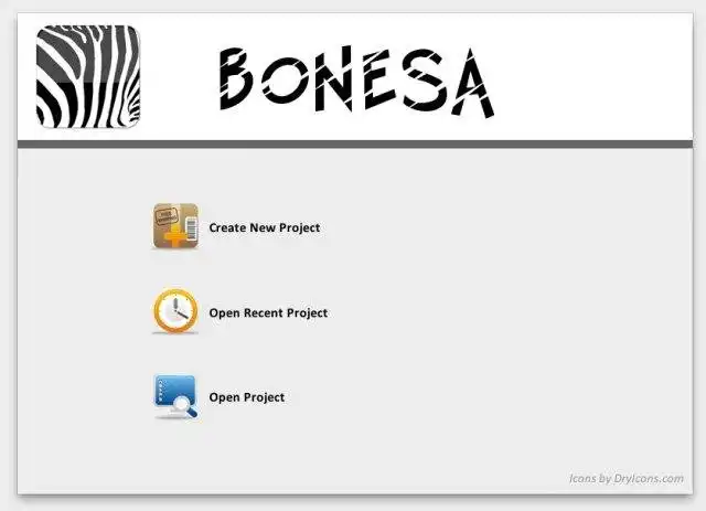 Download web tool or web app BONESA