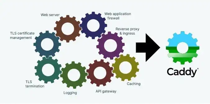 Download web tool or web app Caddy