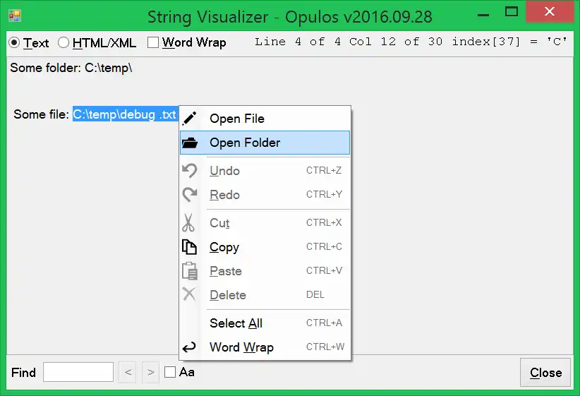 Download web tool or web app C# DataTable StringBuilder Visualizer