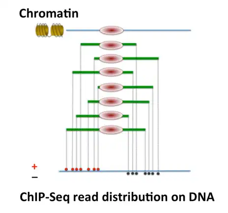 Download web tool or web app ChIP-Seq to run in Linux online