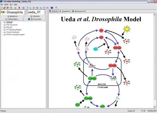 Download web tool or web app Circadian Modelling