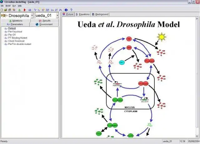 Download web tool or web app Circadian Modelling to run in Windows online over Linux online