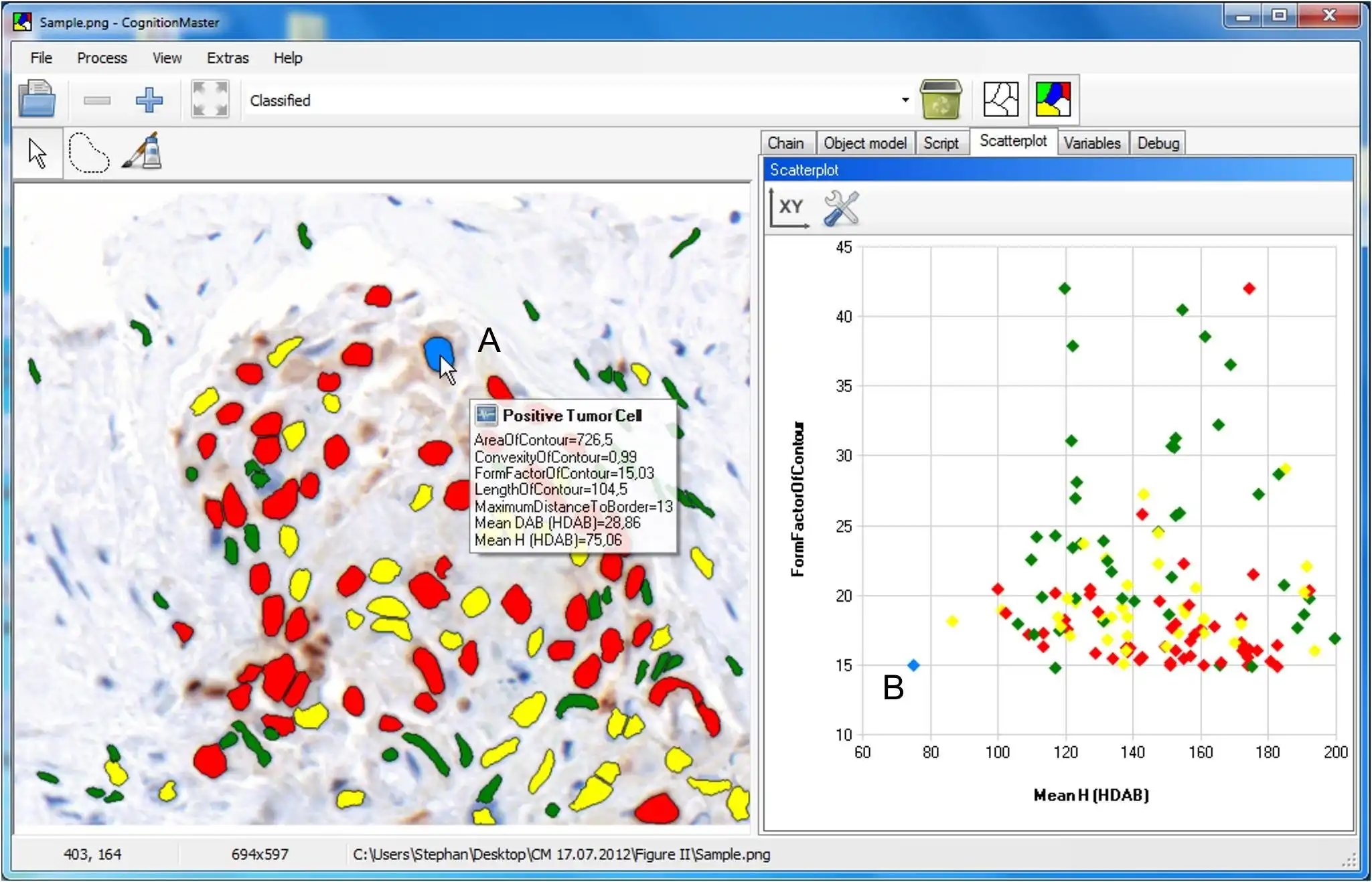 Download web tool or web app CognitionMaster