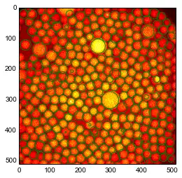 Download web tool or web app Colloids toolkit