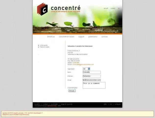 Download web tool or web app Concentré Xml Tools