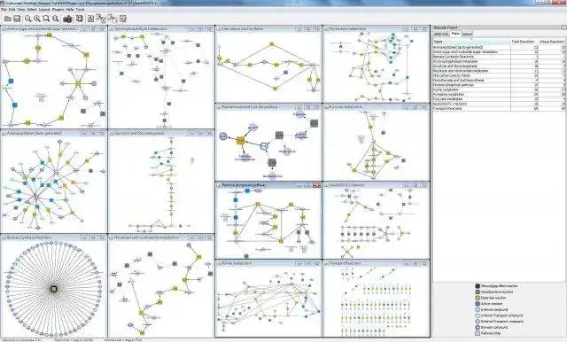 Descargue la herramienta web o la aplicación web CytoSEED: Complemento de Cytoscape para Model SEED