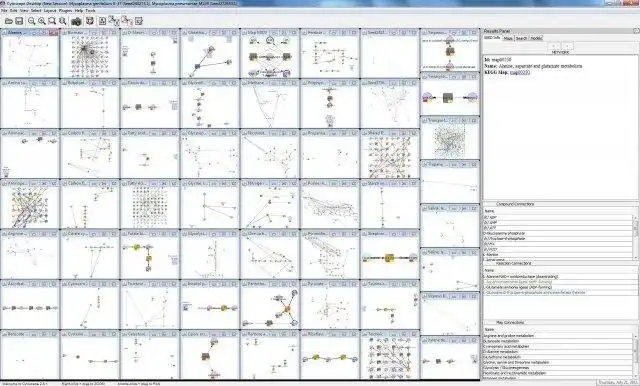 Download web tool or web app CytoSEED:Cytoscape plugin for Model SEED