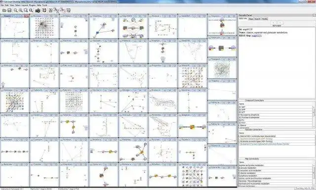 Download web tool or web app CytoSEED:Cytoscape plugin for Model SEED to run in Windows online over Linux online