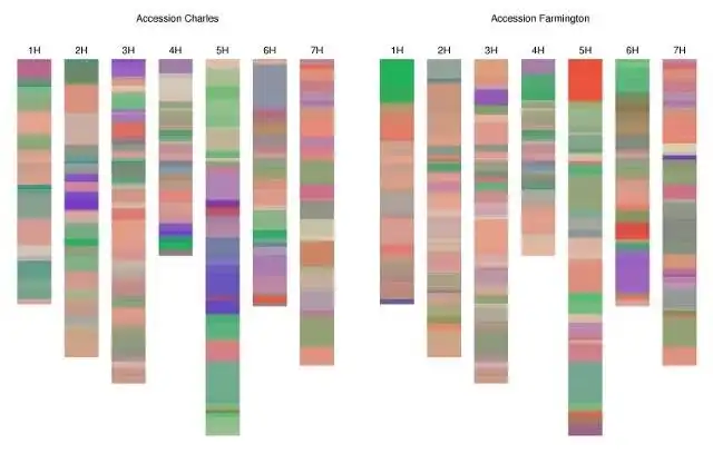 Download web tool or web app Diversity Maps