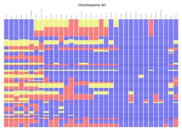 Download web tool or web app Diversity Maps