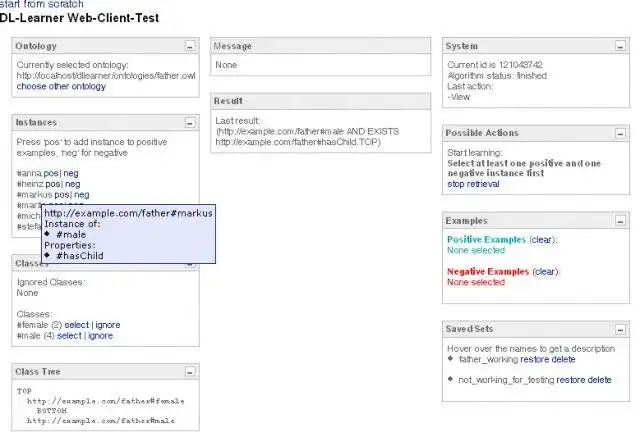 Download web tool or web app DL-Learner