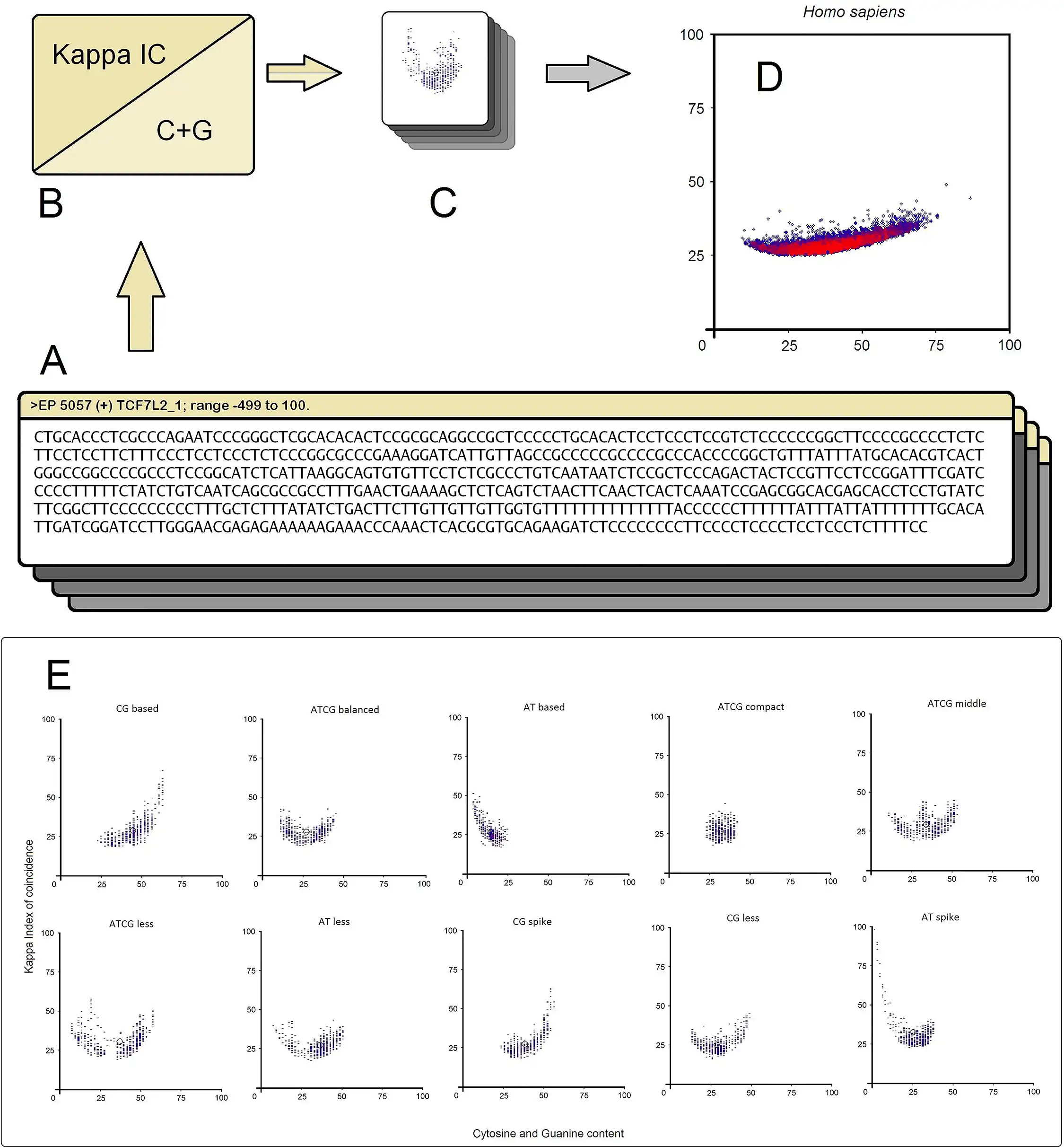 Download web tool or web app DNA patterns  application