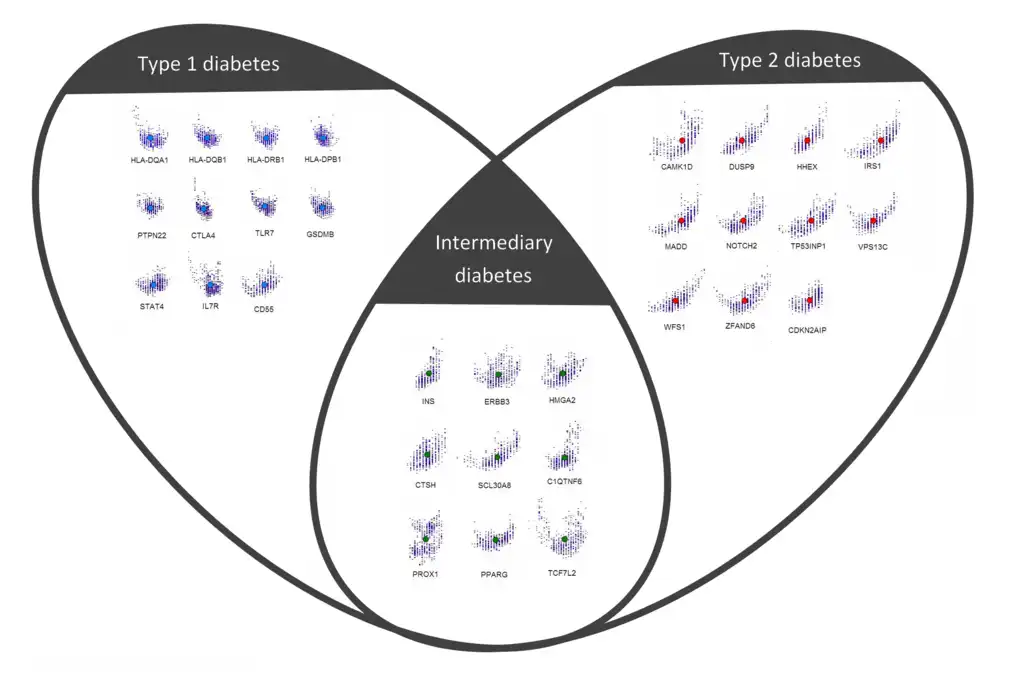 Download web tool or web app DNA patterns  application