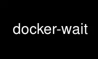 Run docker-wait in OnWorks free hosting provider over Ubuntu Online, Fedora Online, Windows online emulator or MAC OS online emulator