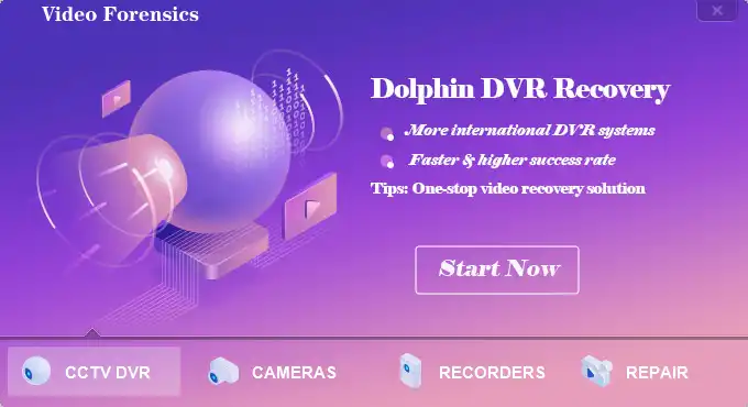 ابزار وب یا برنامه وب Dolphin-DVR-Pro را دانلود کنید