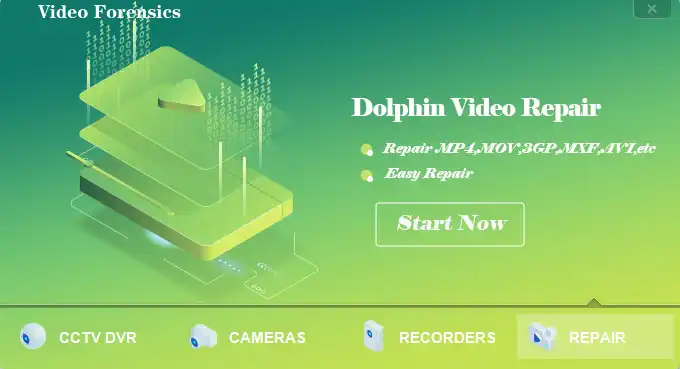 ابزار وب یا برنامه وب Dolphin-DVR-Pro را دانلود کنید