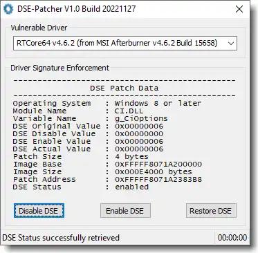 Download web tool or web app DSE-Patcher