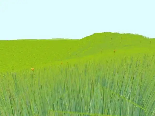 Download web tool or web app DynamicGrass.Heightmap