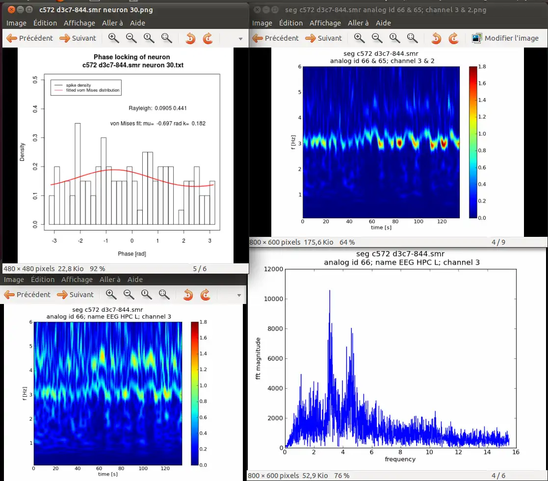 Download web tool or web app Electrophysiology  circular stats tools