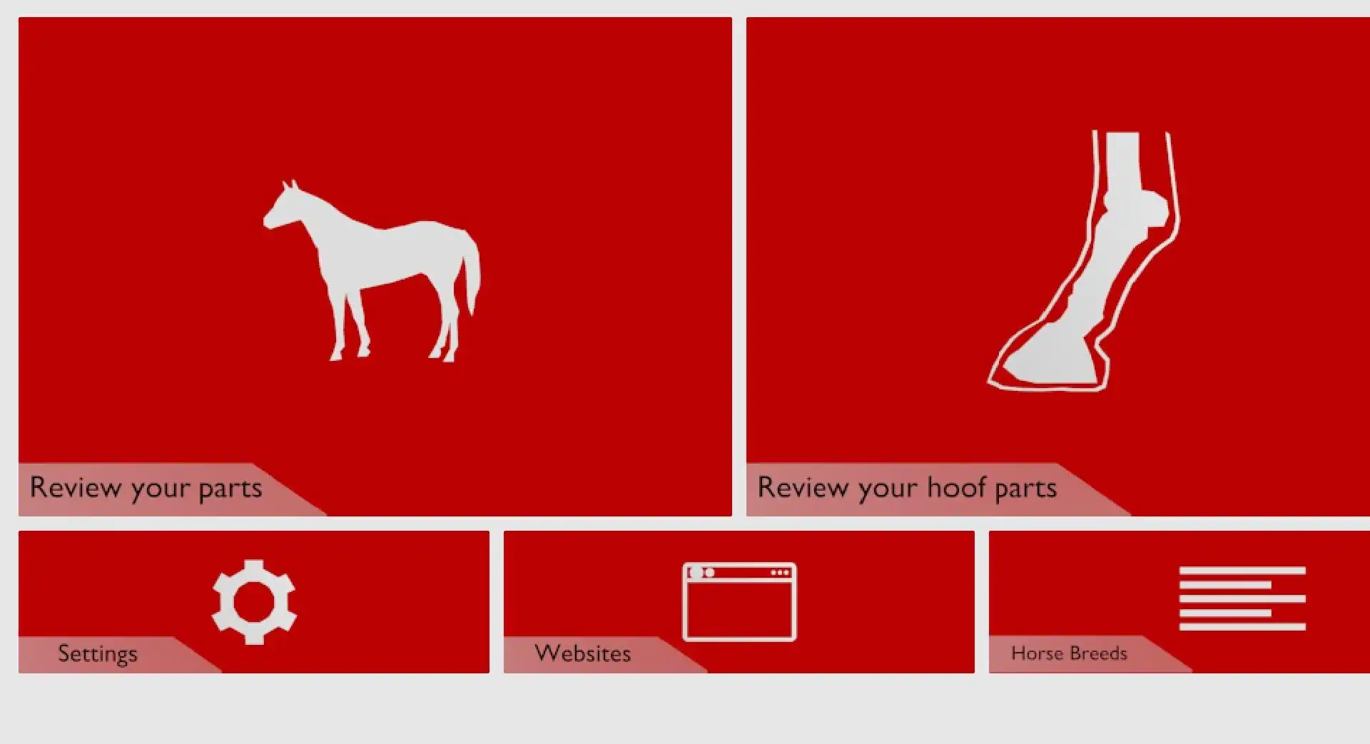 Download web tool or web app Equus - Horse Education