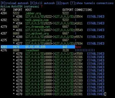 Download web tool or web app Ereshkigal - AutoSSH tunnel monitor