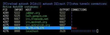 Download web tool or web app Ereshkigal - AutoSSH tunnel monitor