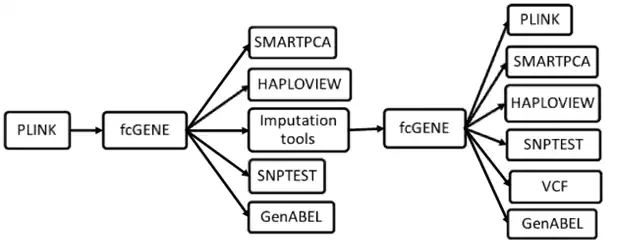 Download web tool or web app fcGENE: Genotype  format converter  to run in Windows online over Linux online