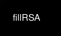 Run fillRSA in OnWorks free hosting provider over Ubuntu Online, Fedora Online, Windows online emulator or MAC OS online emulator