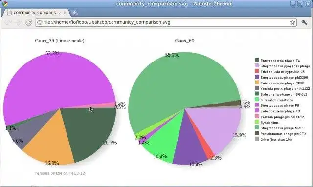 Download web tool or web app GAAS