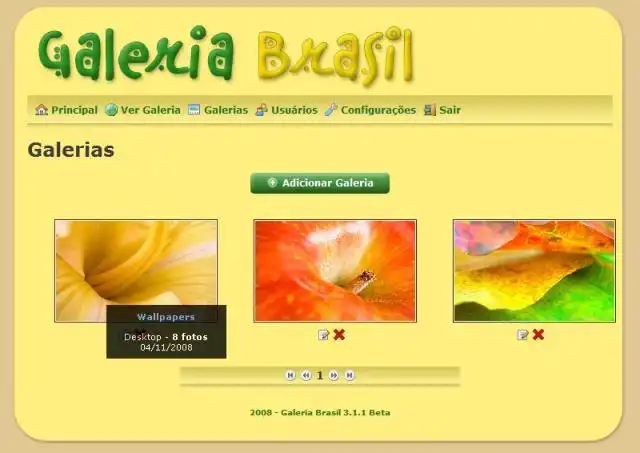 Download web tool or web app Galeria Brasil