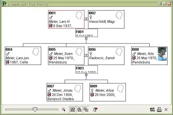 Download web tool or web app GenealogyJ