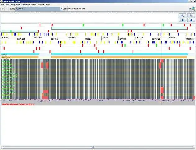 Download web tool or web app GenomeView to run in Windows online over Linux online