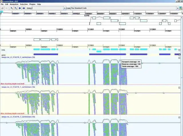 Download web tool or web app GenomeView to run in Windows online over Linux online