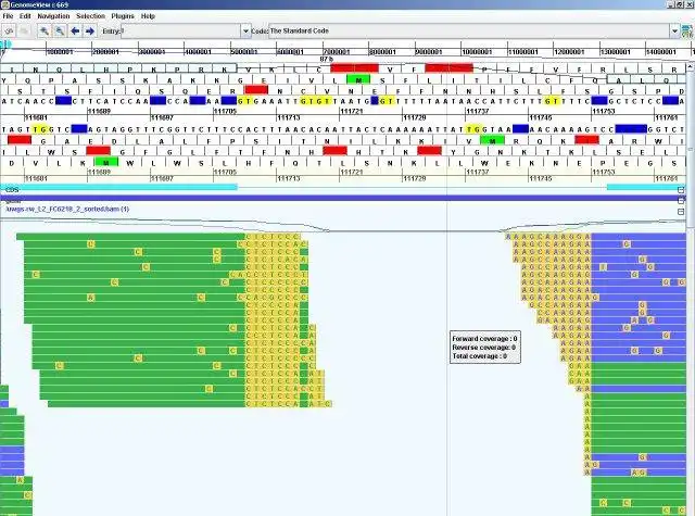 Download web tool or web app GenomeView to run in Windows online over Linux online