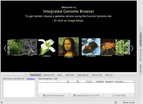 Download web tool or web app GenoViz